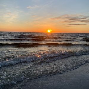 Meet your Posher, Lilli